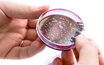 Բակտերիաներ շագանակագեղձի սեկրեցիայում